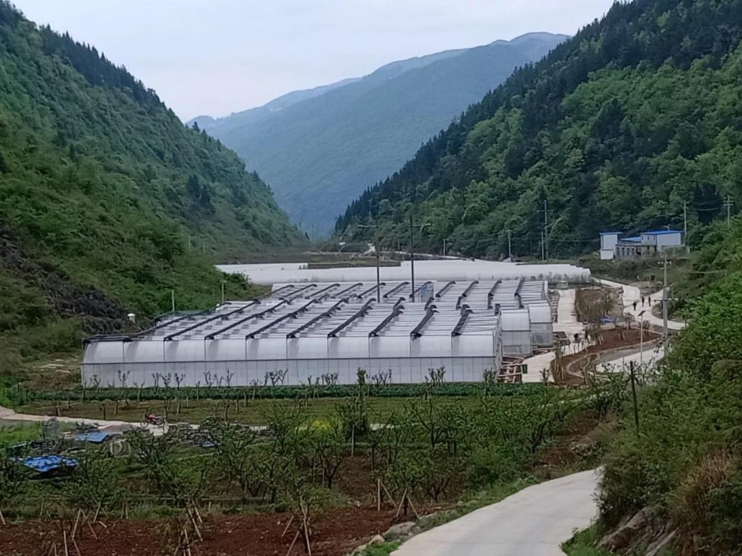 高峰村人口_兴业县高峰镇永德村