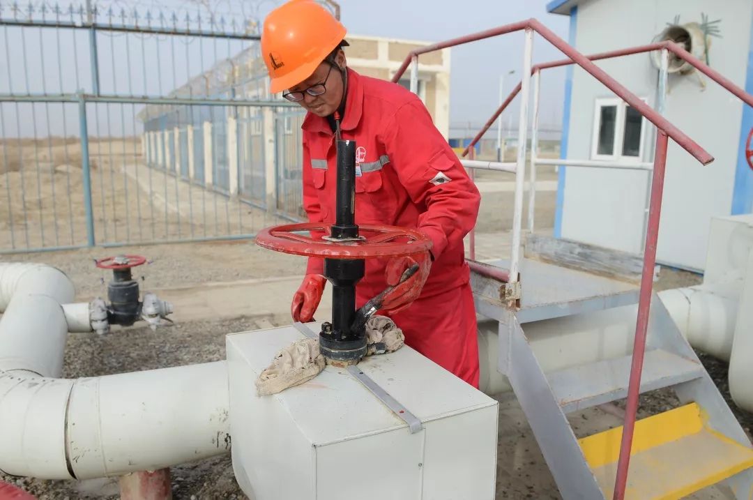 你听过最特别的一句夸奖是什么?