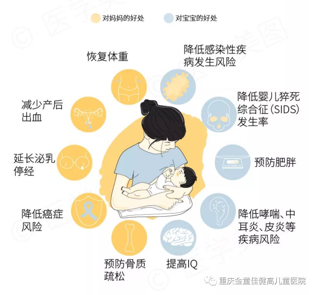 全国母乳喂养日|今天我们来聊聊母乳喂养那些事