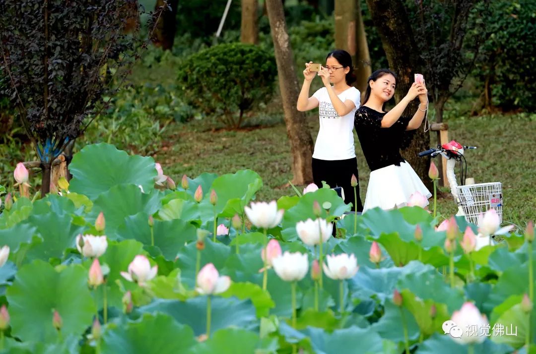 2016年5月23日,亚艺公园荷花盛开,两位美女拿出手机自拍留影.