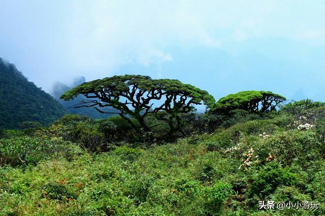 广西壮族自治区来宾市金秀县圣堂山