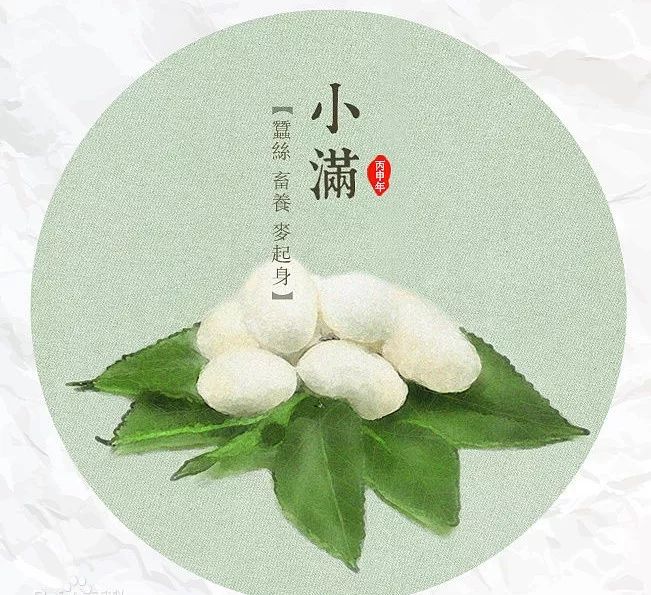 小满| 物致于此小得盈满_节气