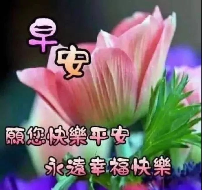 5月21日周二群发早上好问候祝福动态表情图片 最美早晨好问候表情动态