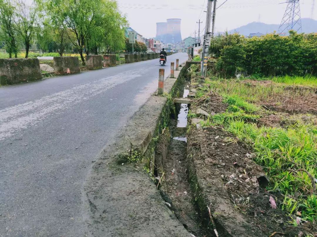 谭家埭河边沟渠垃圾清理娘娘庙河河岸垃圾清理河边绿化补种接下来,五