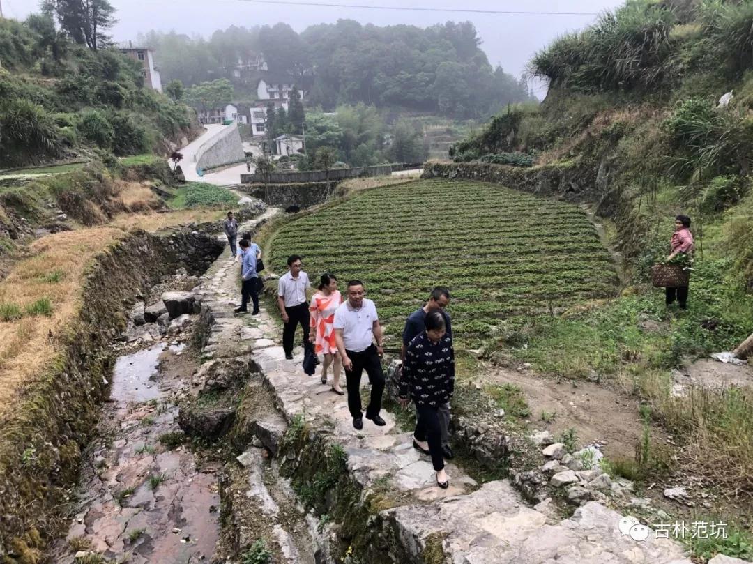 总会计师周萍专程前往集团挂钩扶贫的福安市范坑乡毛家坪村调研指导驻