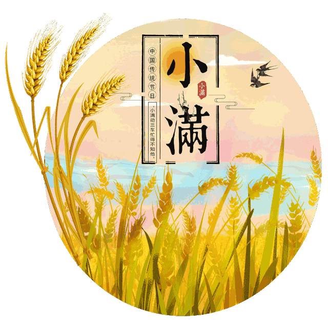 今日小满小满是夏季的第二个节气.