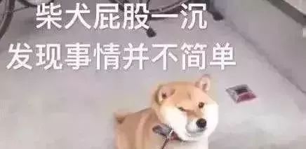 651173edebb24dfbaebe7e76cb6d2e51.jpeg