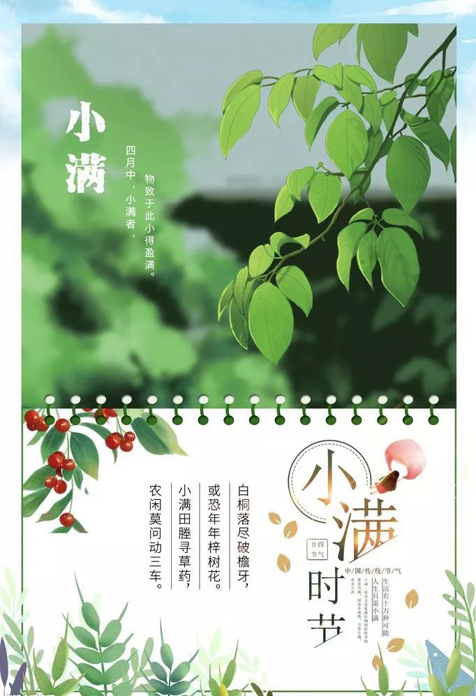 【祝福】今日小满,祝你今后的生活幸福美满!_节气