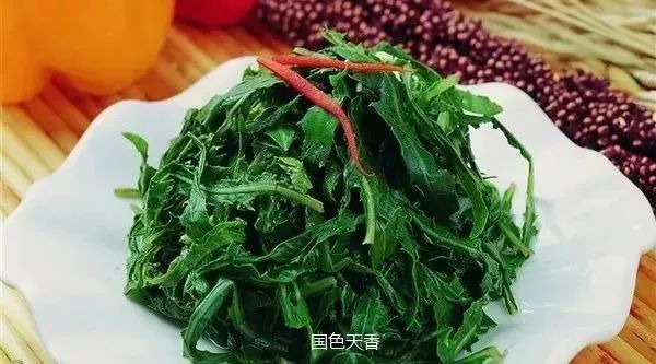 什么季节种什么菜视频 813b3d7590e14c92b6408a18869d4b77.jpeg