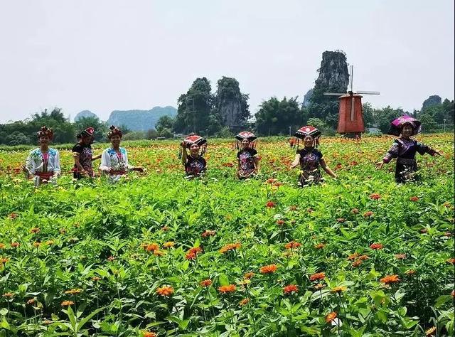 城事 | 门票半价、LoveRun彩虹泡泡跑、千人徙步活动……“中国旅游日”这些活动在广西精彩上演 最新九州城国际娱乐网登录