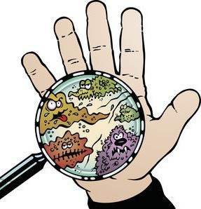 蚊子为什么要吸血?什么因素吸引蚊子?怎样避