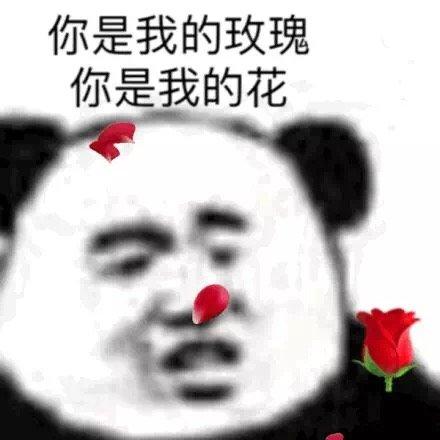 你是我的玫瑰,你是我的花