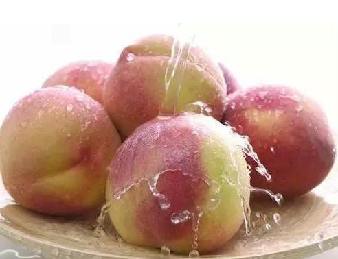 桃子怎么吃正确方法 9bc83529df364f18b4272ccdeafc1cf3.jpeg