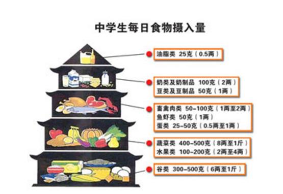 平衡膳食宝塔学生营养早餐设计的基本要求按照我国学生每目膳食营养