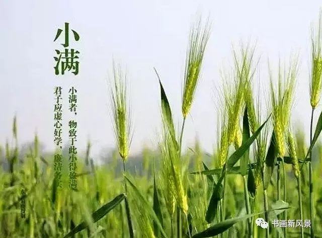 今日小满 新世纪网上娱乐