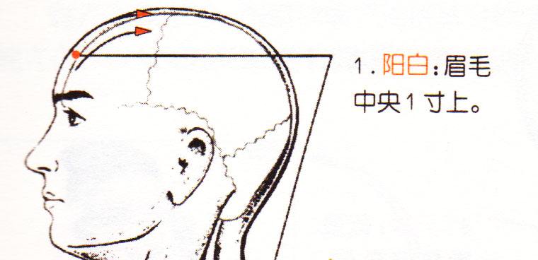 6,太阳 太阳穴在耳廓前面,前额两侧,外眼角延长线的上方.