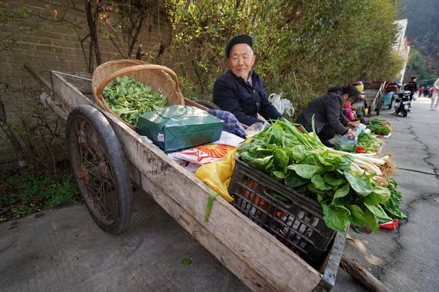 陕西人口太少_陕西各市人口排名