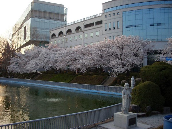 韩国大学成中国学生博士学历工厂!12天可读完一学期,背后原因曝光