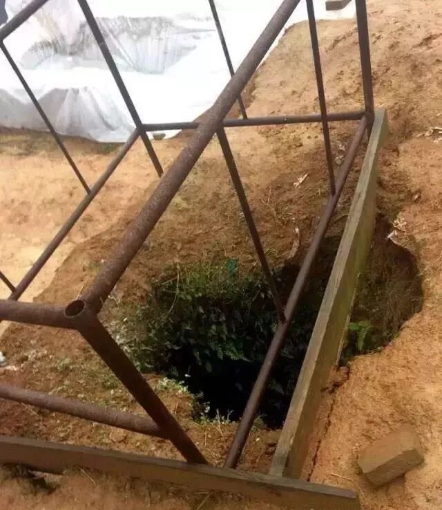 央视又放大招！一集爽爆吊打烂片