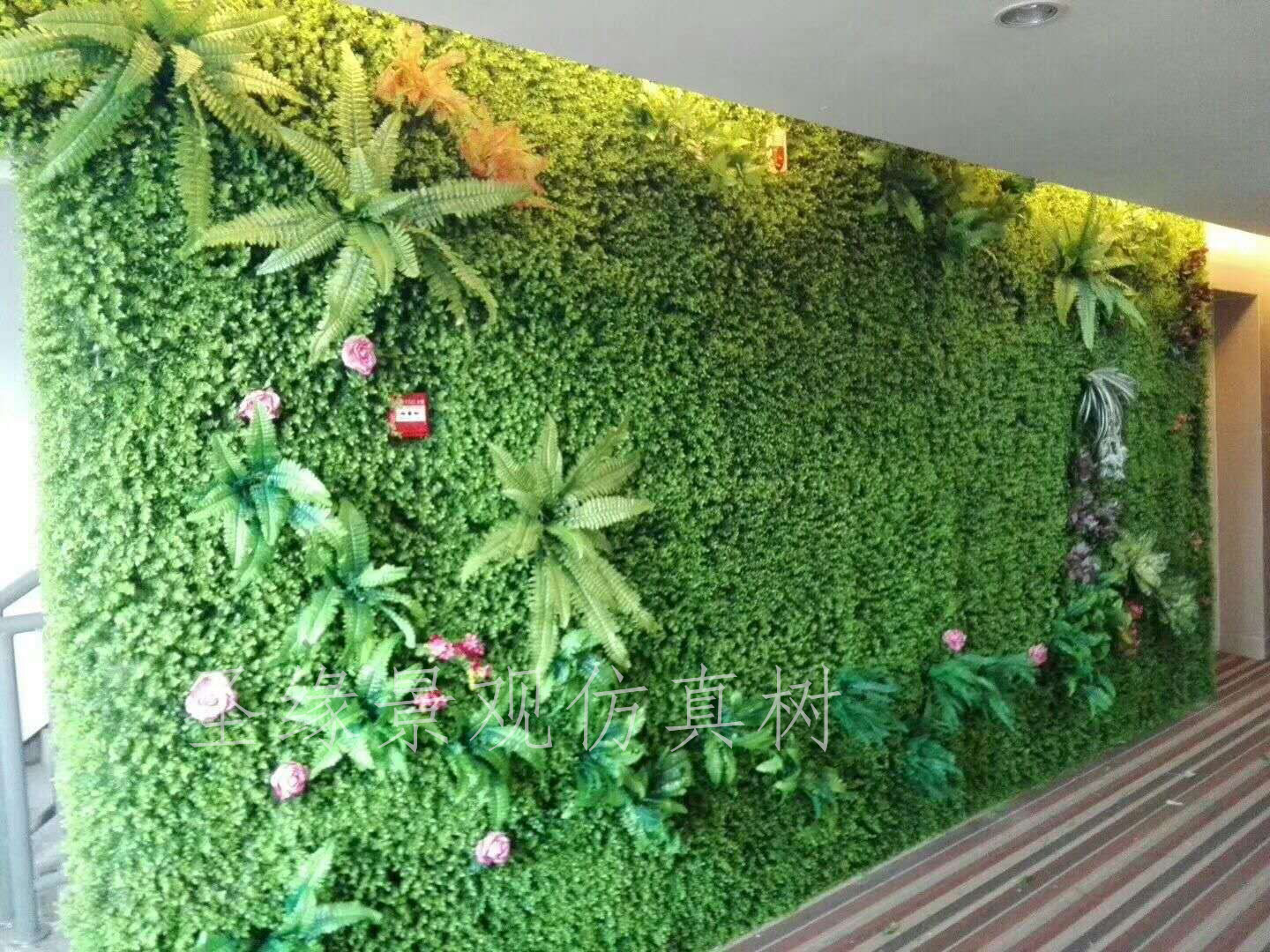 圣缘景观仿真植物墙|永生植物墙及衍生品层出不穷