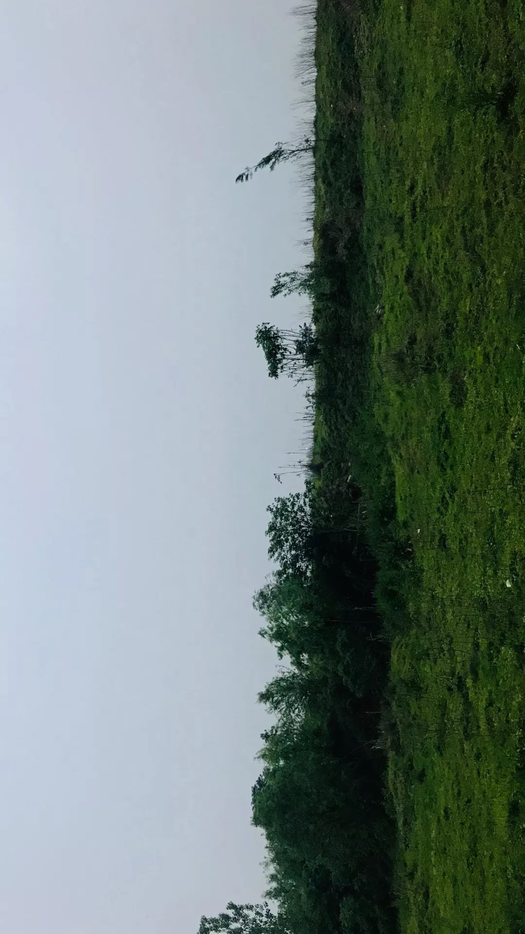 cd572c75973441ea8a49df01a92218fa.jpeg