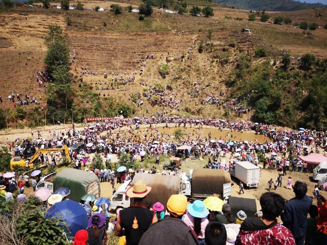 搭桥节现场的"人山人海"搭桥节是南美拉祜族最隆重的传统节日,每年