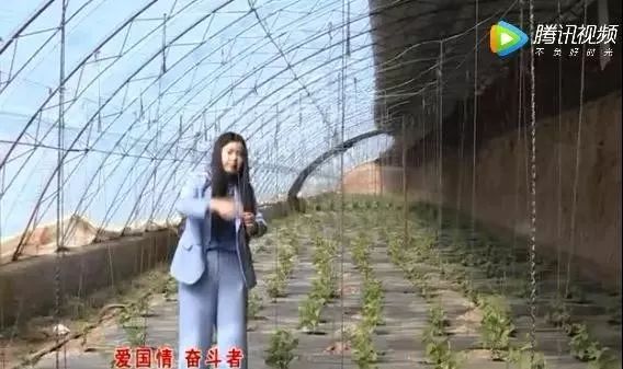 爱国情奋斗者赵丽杰外来媳妇巧当家