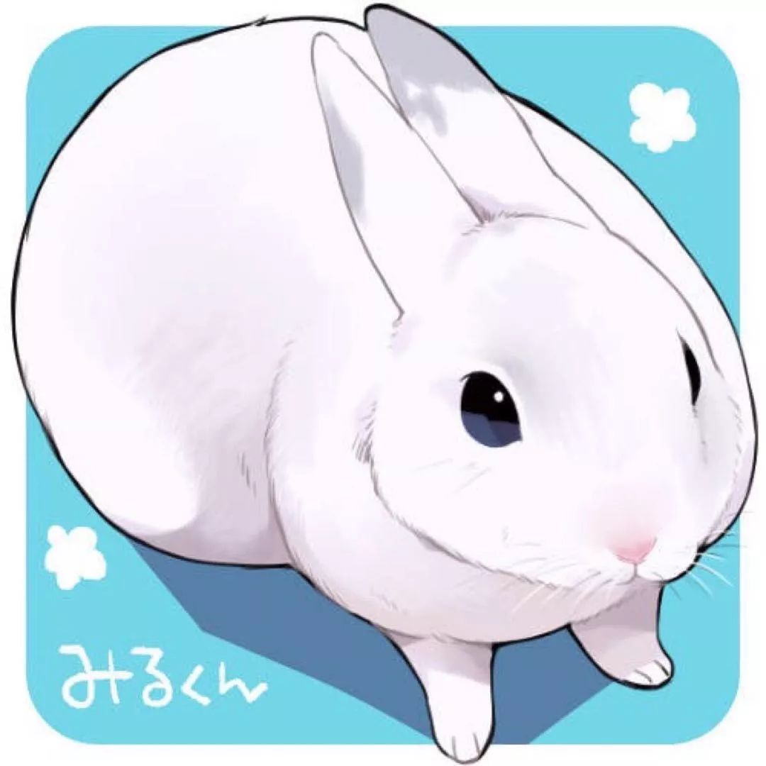 兔子为什么一直跟着我 df33bc8ff0b94f679598da65ef0a26f9.jpeg