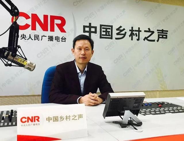 炜衡律师事务所排名_盈科律师事务所排名