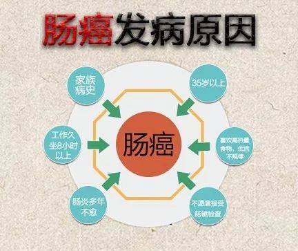 【金医健康】大肠癌筛查,你来了吗?