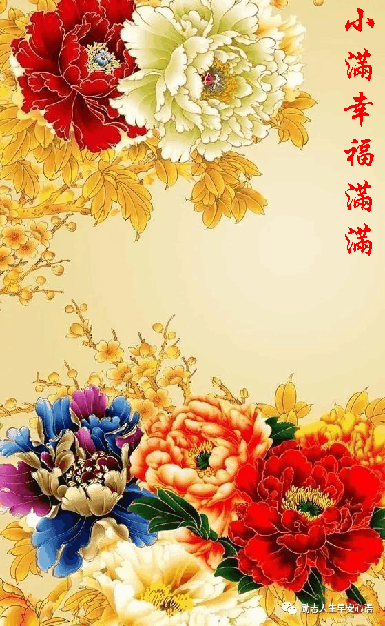 小满到祝福到《把最美好的祝福送给您》!