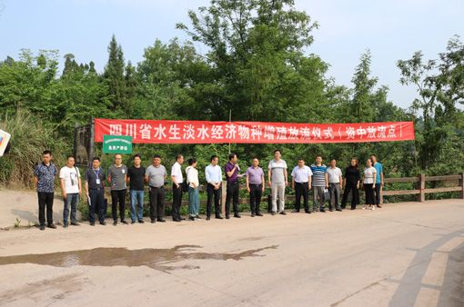 付根平到马鞍镇开展水生态净化鱼苗投放活动