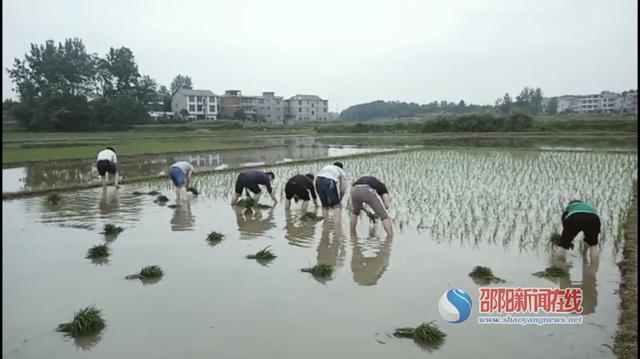 黄桥镇多少人口_台湾有多少人口