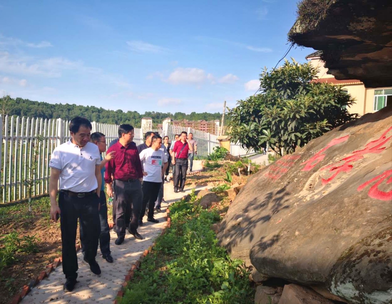 荆门市屈家岭管理区李宏伟书记一行调研忠兴镇碾子湾山湾农庄及万鸿