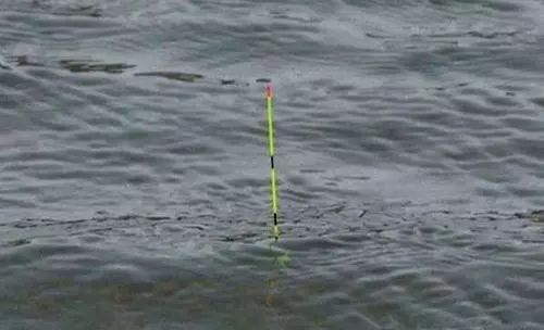 什么是双铅钓鱼 0b7cb706f34b4de7ad2381ef835efbf2.jpeg