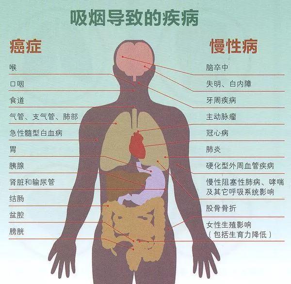 王源抽烟上热搜,本人道歉,这种危害身体的行为请别再做了