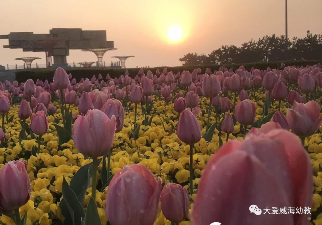 我们一起期待着乔迁,四月十三日,清晨的一场春雨,预示着大地一切会风