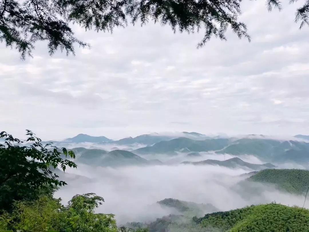 之时登群峰之巅望云海飘逸,看云卷云舒·天泉山迎着朝阳,在