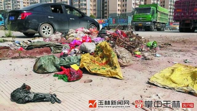 闹心!玉林城区金港路这堆垃圾何时才“搬家” pp电子开户