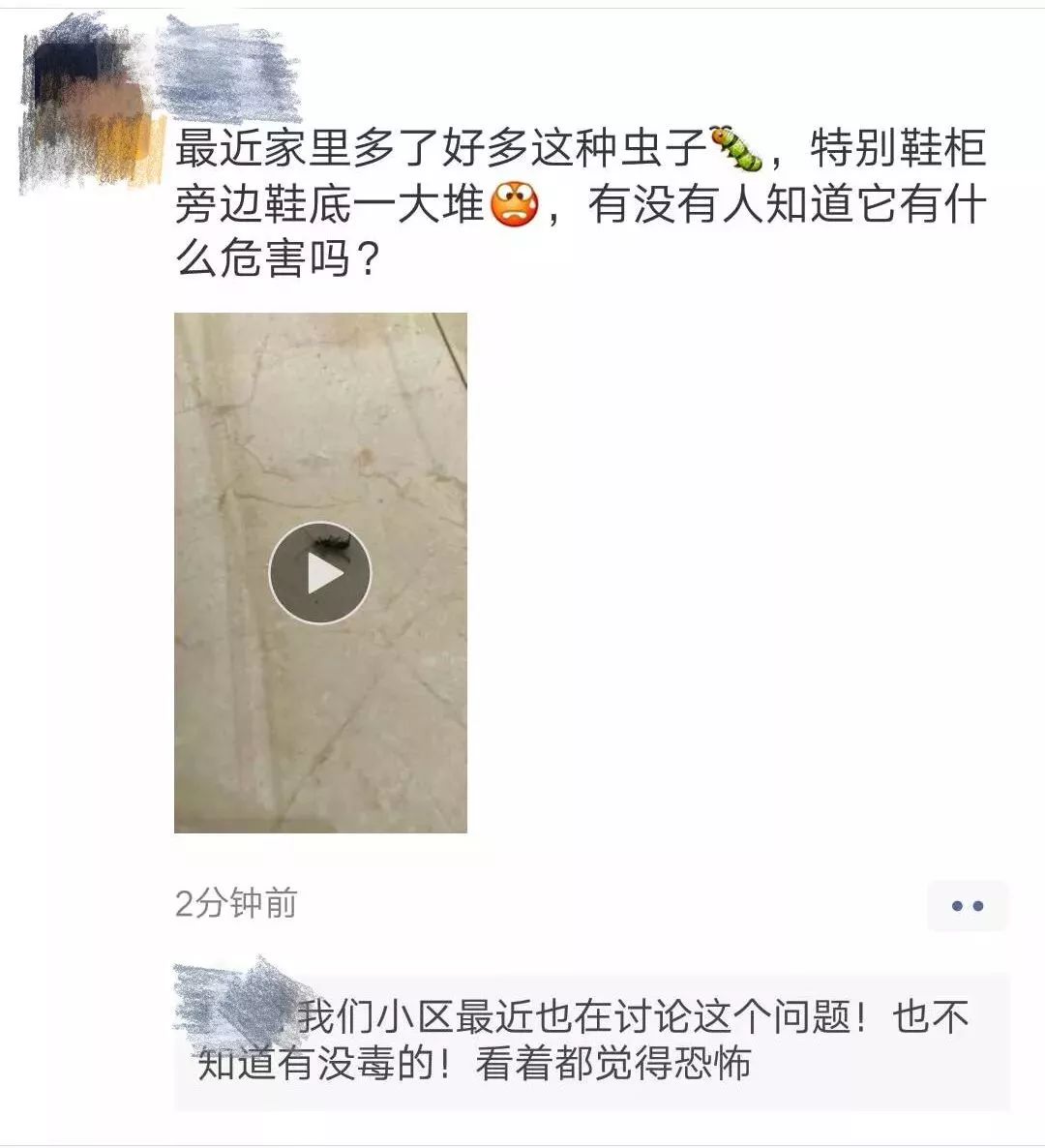 神秘黑虫“袭击”萍乡!好多人家里都出现了