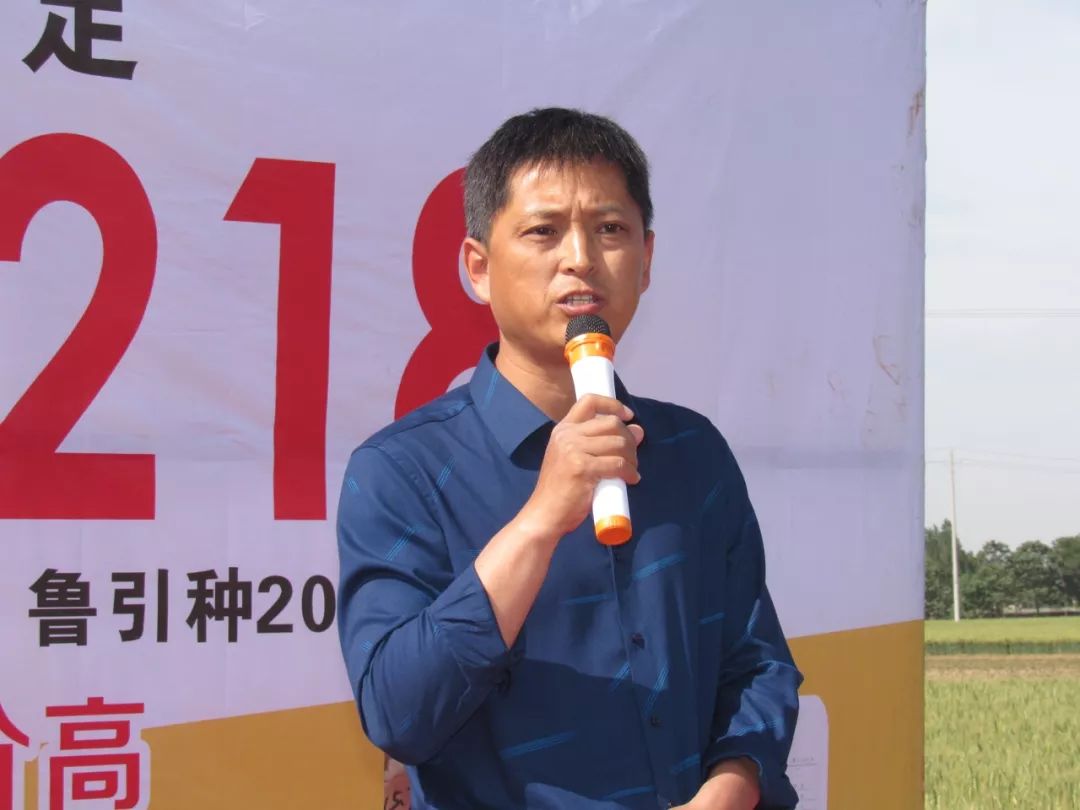 藁城市2019gdp_藁城市地图(3)