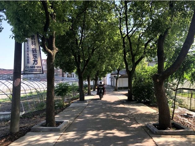 镇海有个神秘的村子,怎么走都不会迷路,如今却