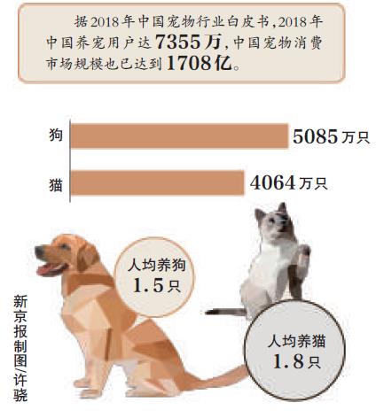 沒有一句旁白，仍然催淚，寵物版《人間世》教你學會告別 寵物 第1張