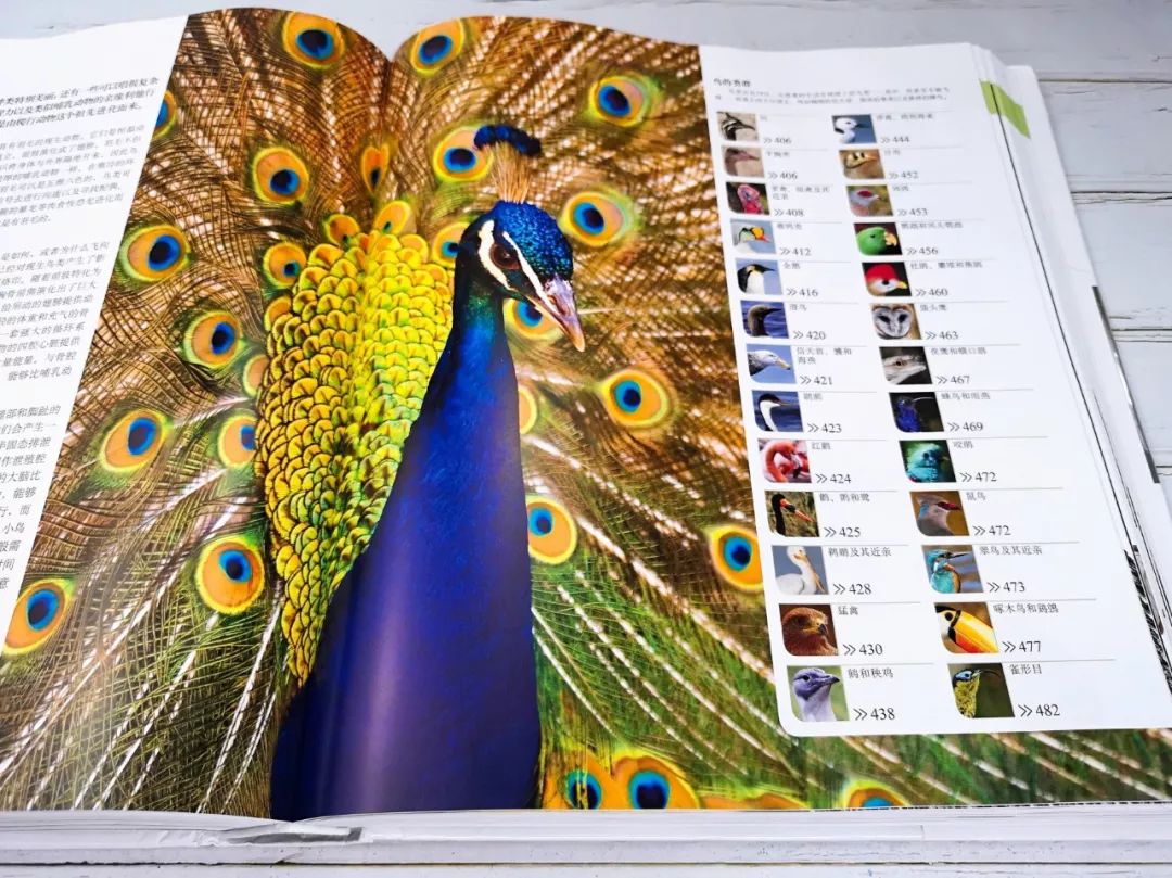 见多识广的孩子,是泡在这种书里养出来的!