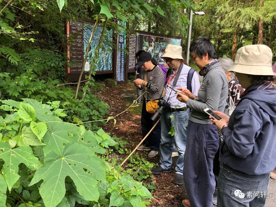 跟着素问中医上山采药是一种怎样的体验?