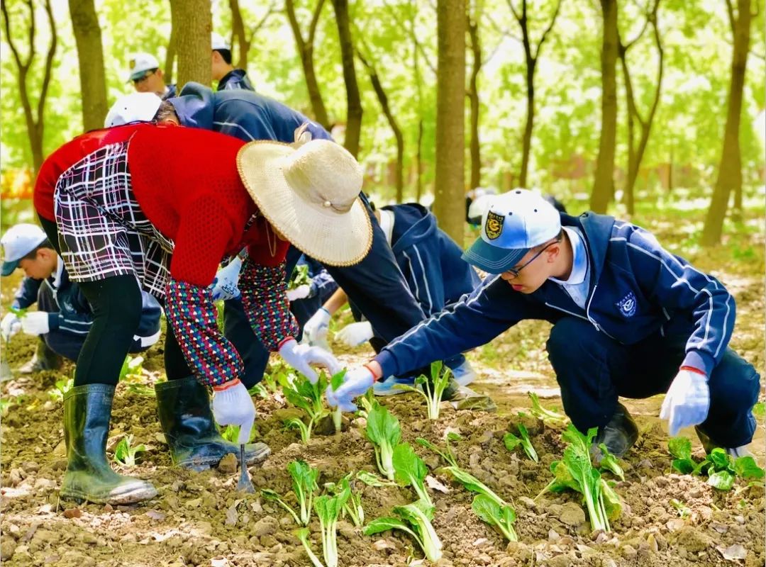 忆苦思甜话农耕记西南位育中学高二年级学农活动第一篇章