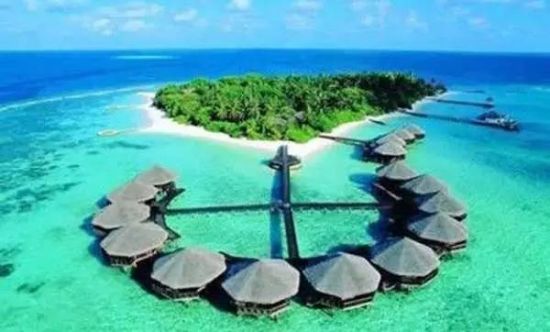 5a434eea232c443492fc3ca3aa2e3a1b.jpeg