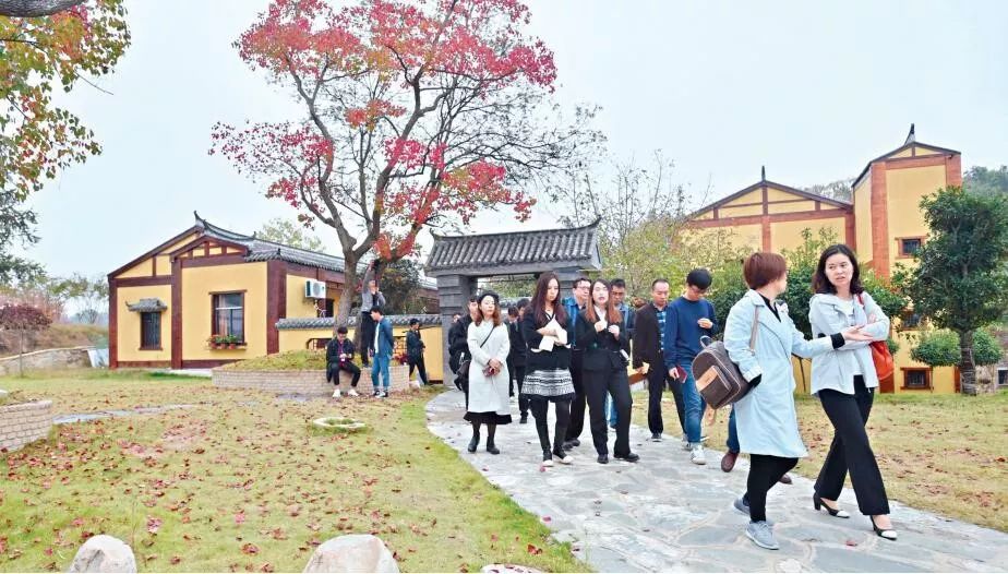 落实乡村振兴五年规划,迈开大武汉振兴乡村新步伐 日本红怡院一本道