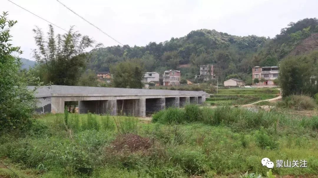 厉害了蒙山县四个村荣获广西森林村庄称号