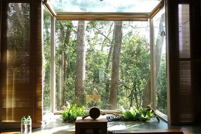 树也 · Chooart Villa | 住在树里面，与自然共生的低调民宿_建筑